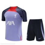 Liverpool training kit